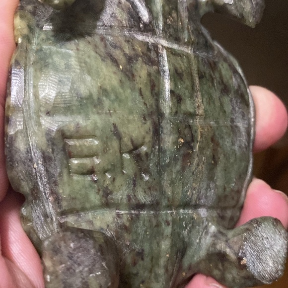 Fruit serpentine turtle. - Picture 7 of 7